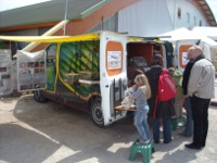 À l’école des insectes