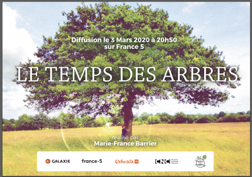Capture-d’écran-2020-02-20-à-17.40.22